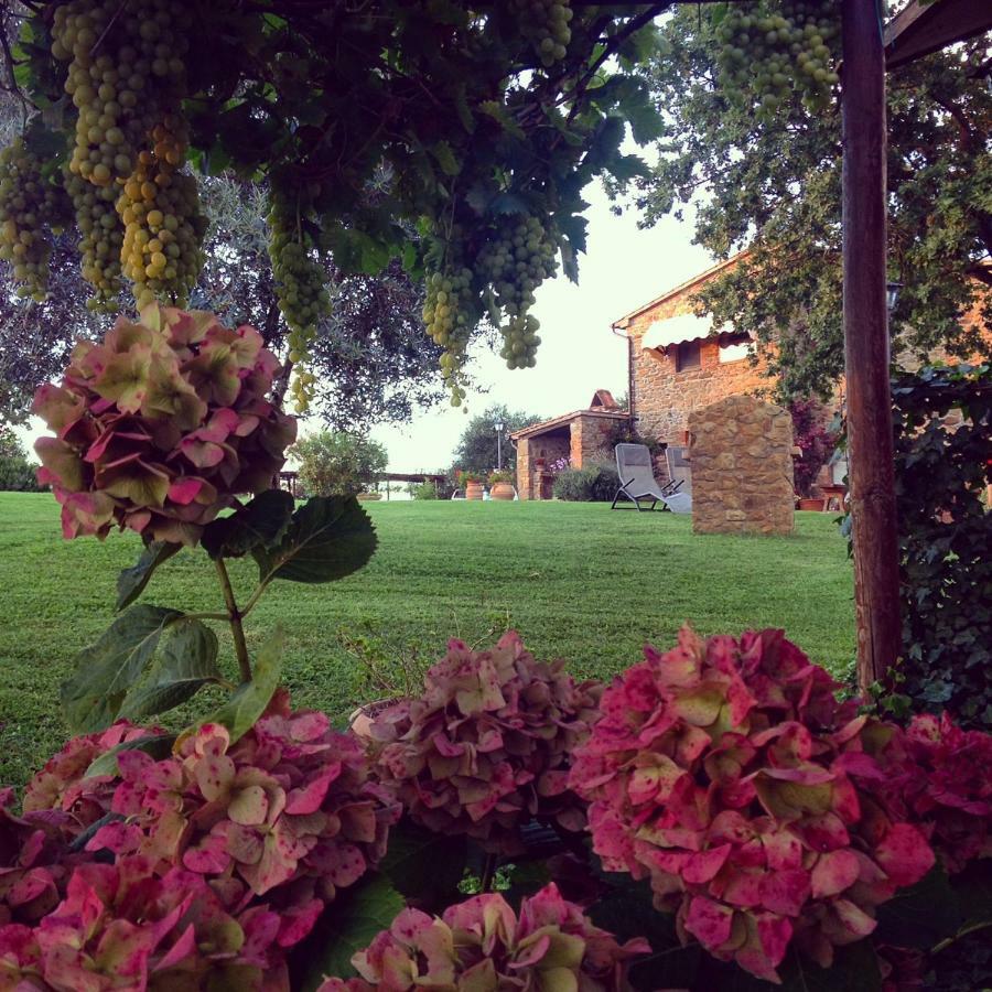 Casale Giacomini Bed & Breakfast Manciano Bagian luar foto