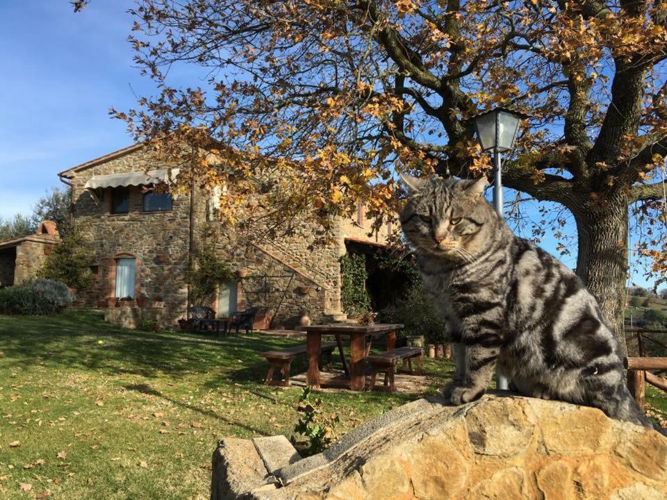 Casale Giacomini Bed & Breakfast Manciano Bagian luar foto